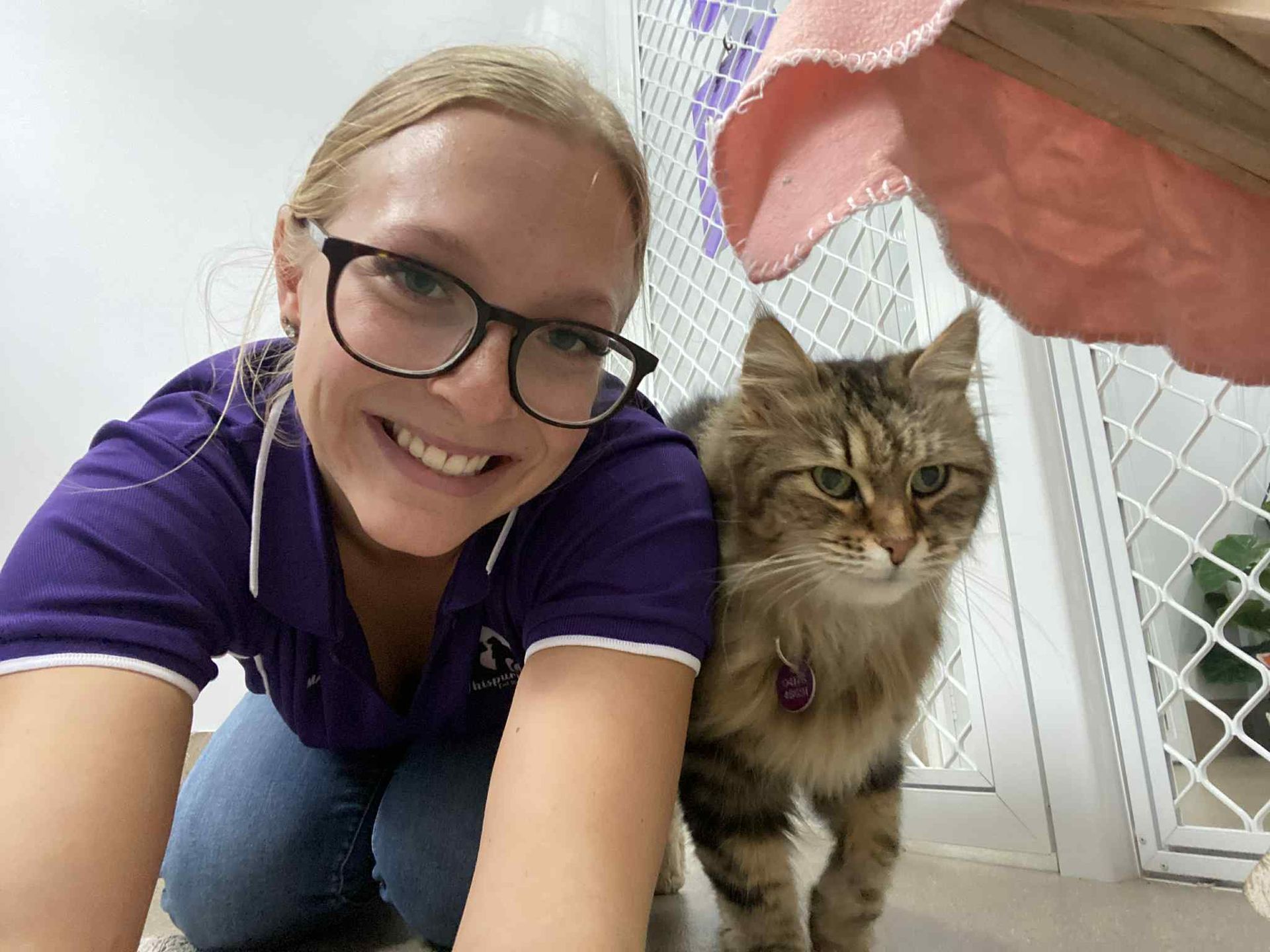 Edith — Whispurrs Cat Retreat in Beerburrum, QLD