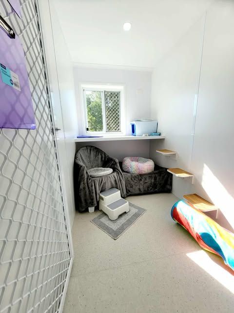 A small, clean room with pet amenities. Gray armchair with steps, shelf, window, and a colorful cat scratcher.