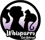 Cattery in Beerburrum Cattery in Beerburrum