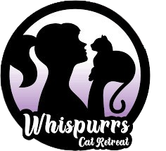 Cattery in Beerburrum