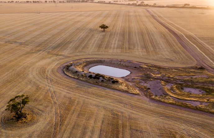 A Worker Using a Mini Excavator to Dig a Trench on a Sandy Beach — Boland Contracting In Wellington, NSW