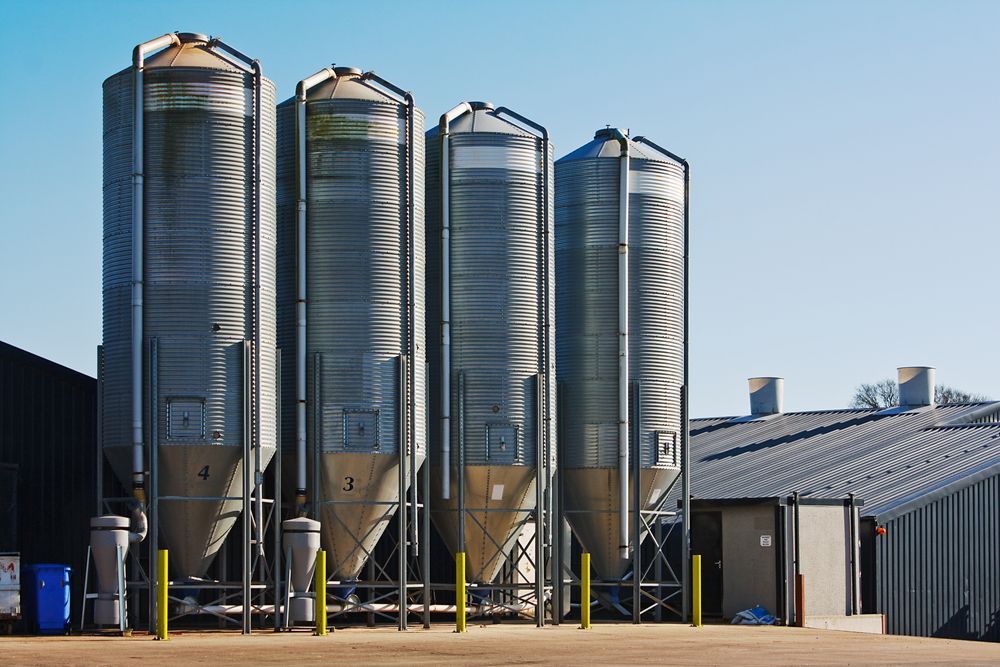 Four Tall Silver Grain Silos Stand Against a Bright Blue Sky — Boland Contracting In Wellington, NSW