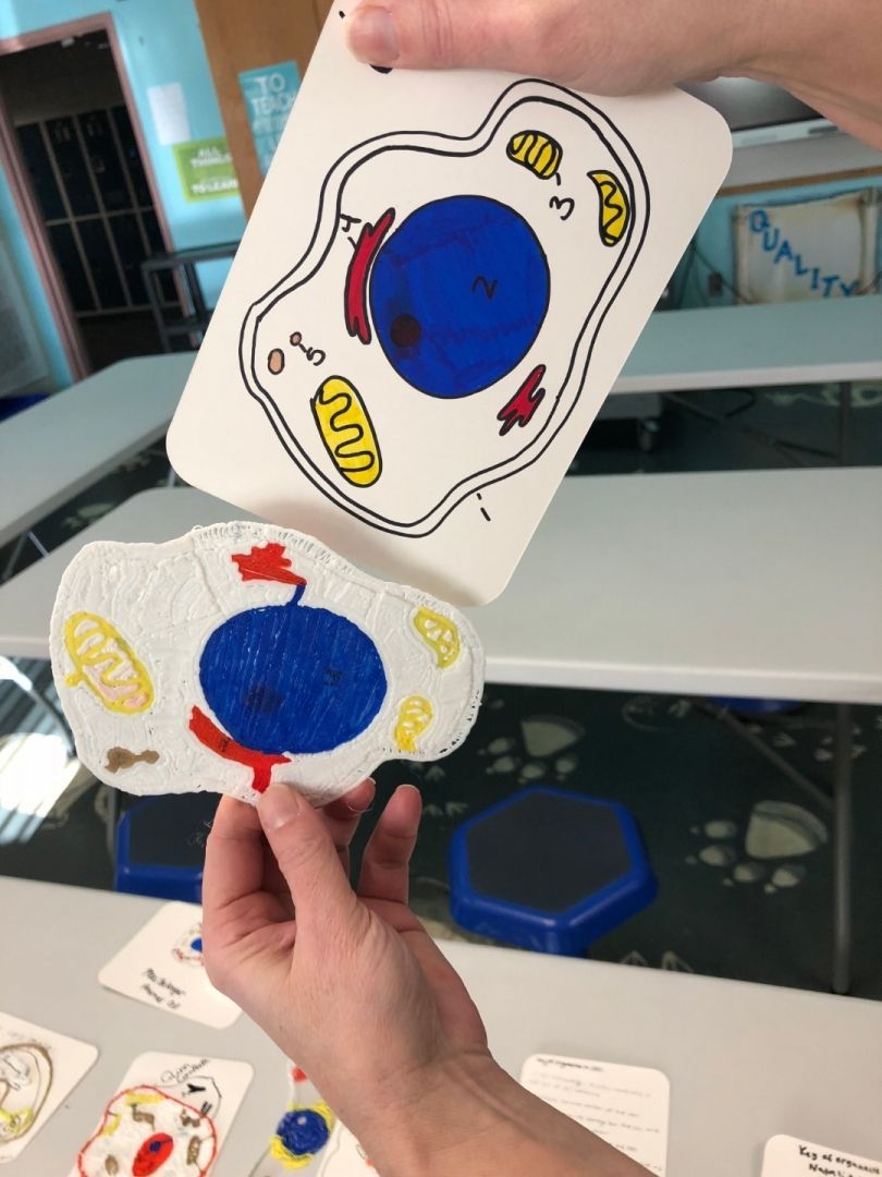 A person is holding a card with a picture of a cell on it