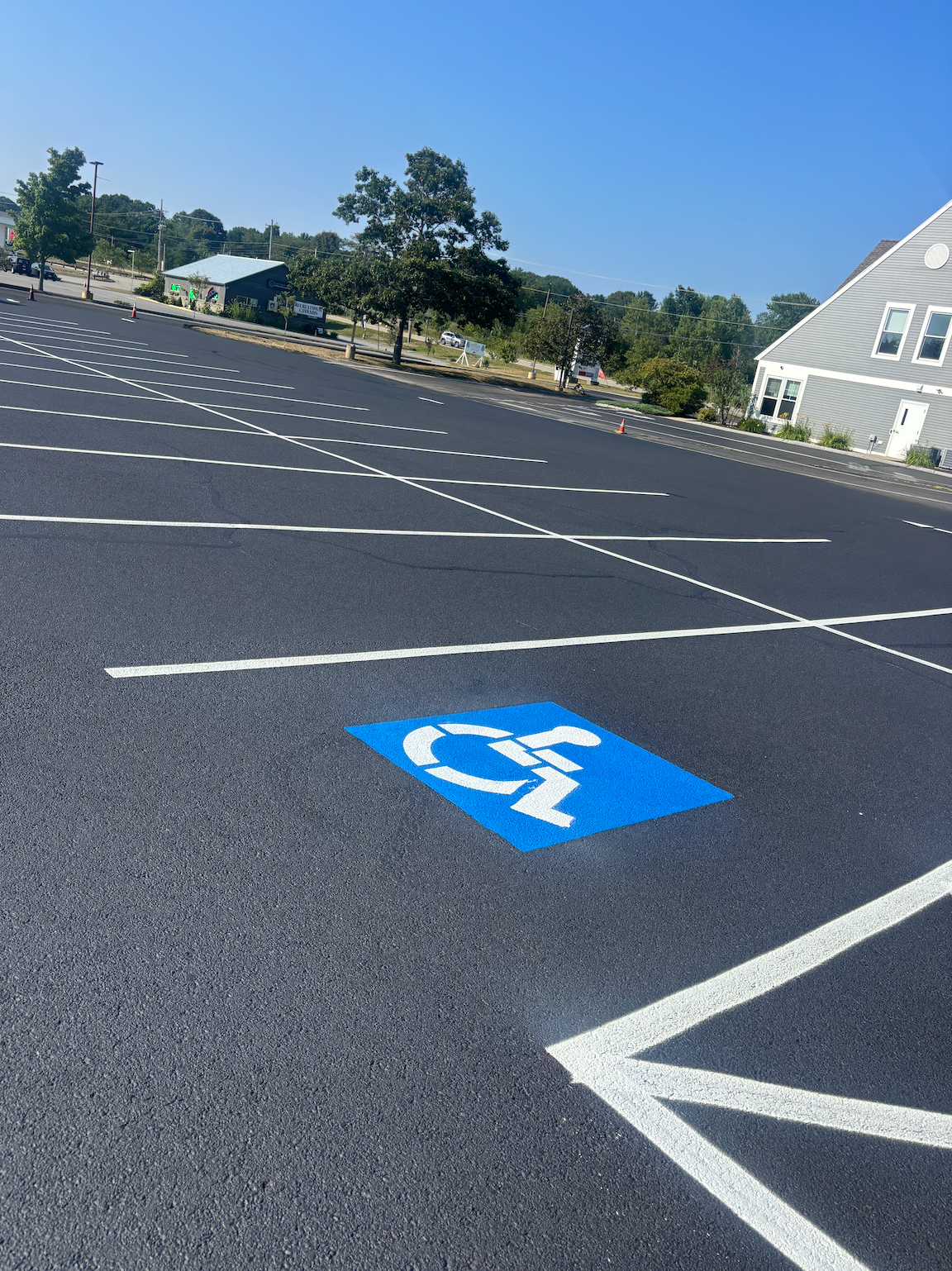 A bunch of logs are laying on the grass in a park.