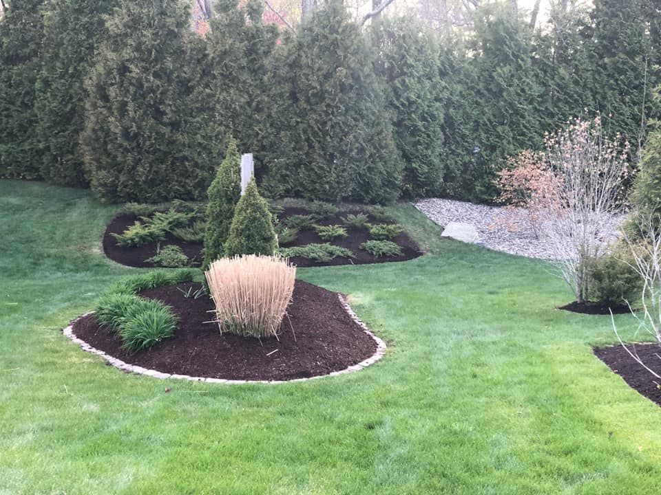 A lush green lawn with a circular garden in the middle surrounded by trees and bushes.