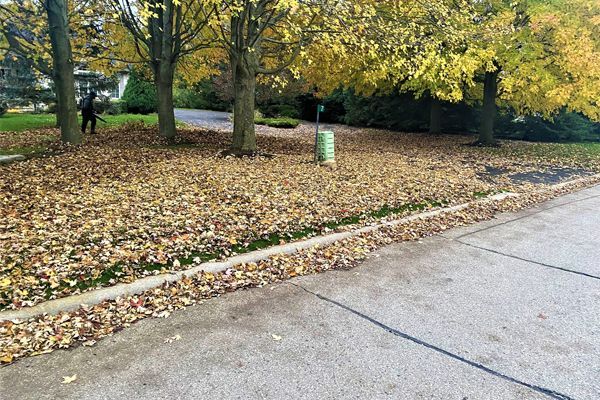 A person is raking leaves on the side of the road