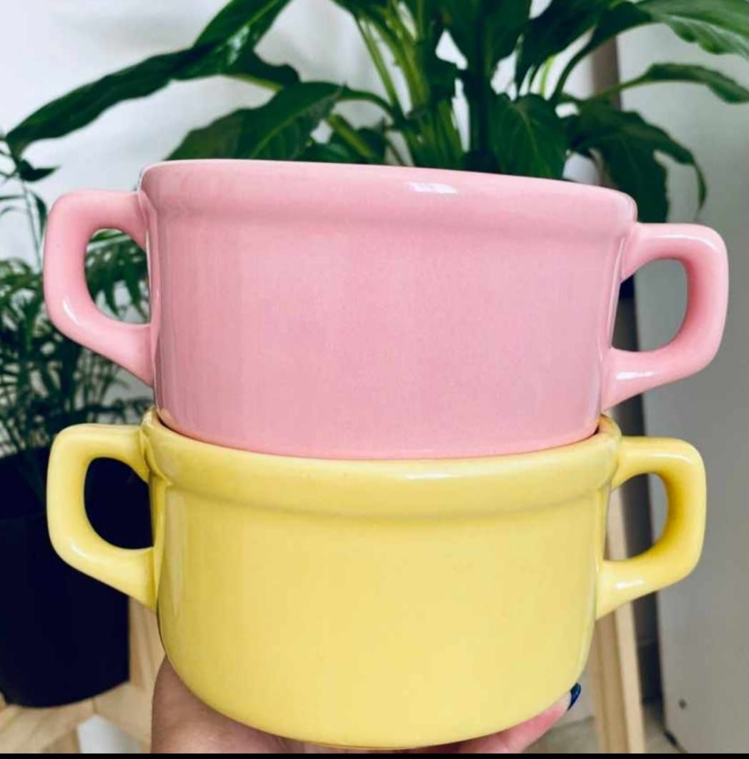 Dos coloridos cuencos de sopa de cerámica apilados, rosa sobre amarillo, con asas y sobre un fondo de plantas.