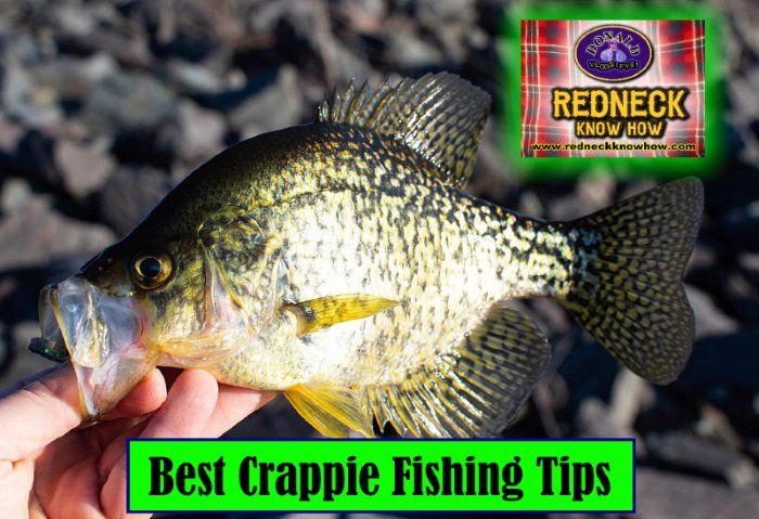 The best crappie catching tips you can get!