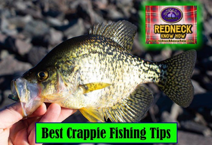 3 Ways to Slide More Crappie into the Landing Net