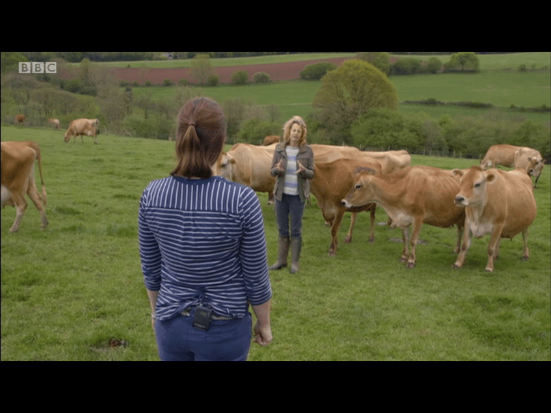 Brooke’s dairy on countryfile