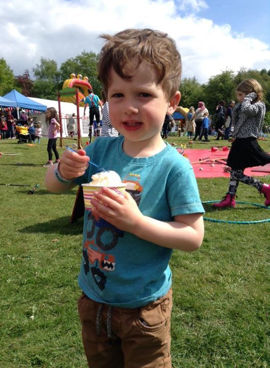 Brooke's Dairy Delicious artisan welsh ice cream