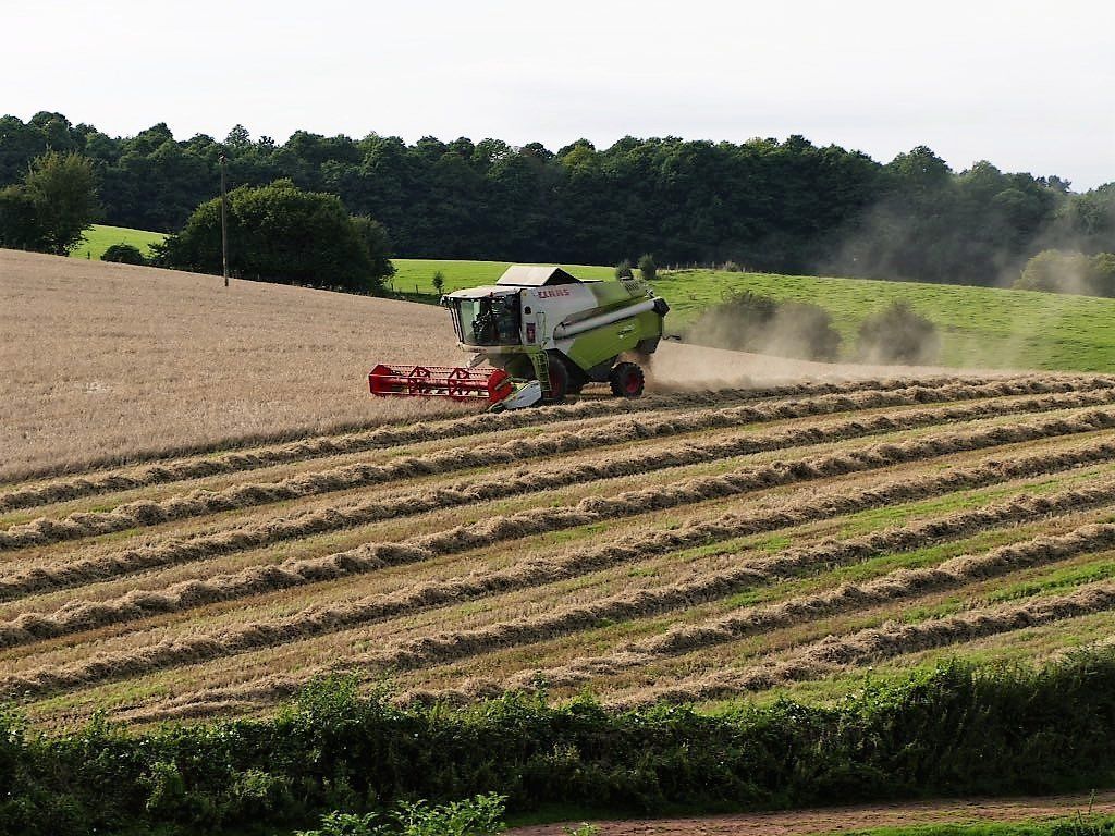 Brooke's Dairy Harvest time on the farm