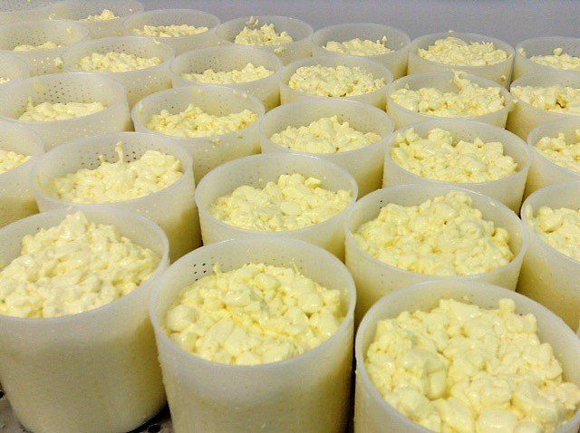Brooke's Dairy Artisan Welsh Cheese making