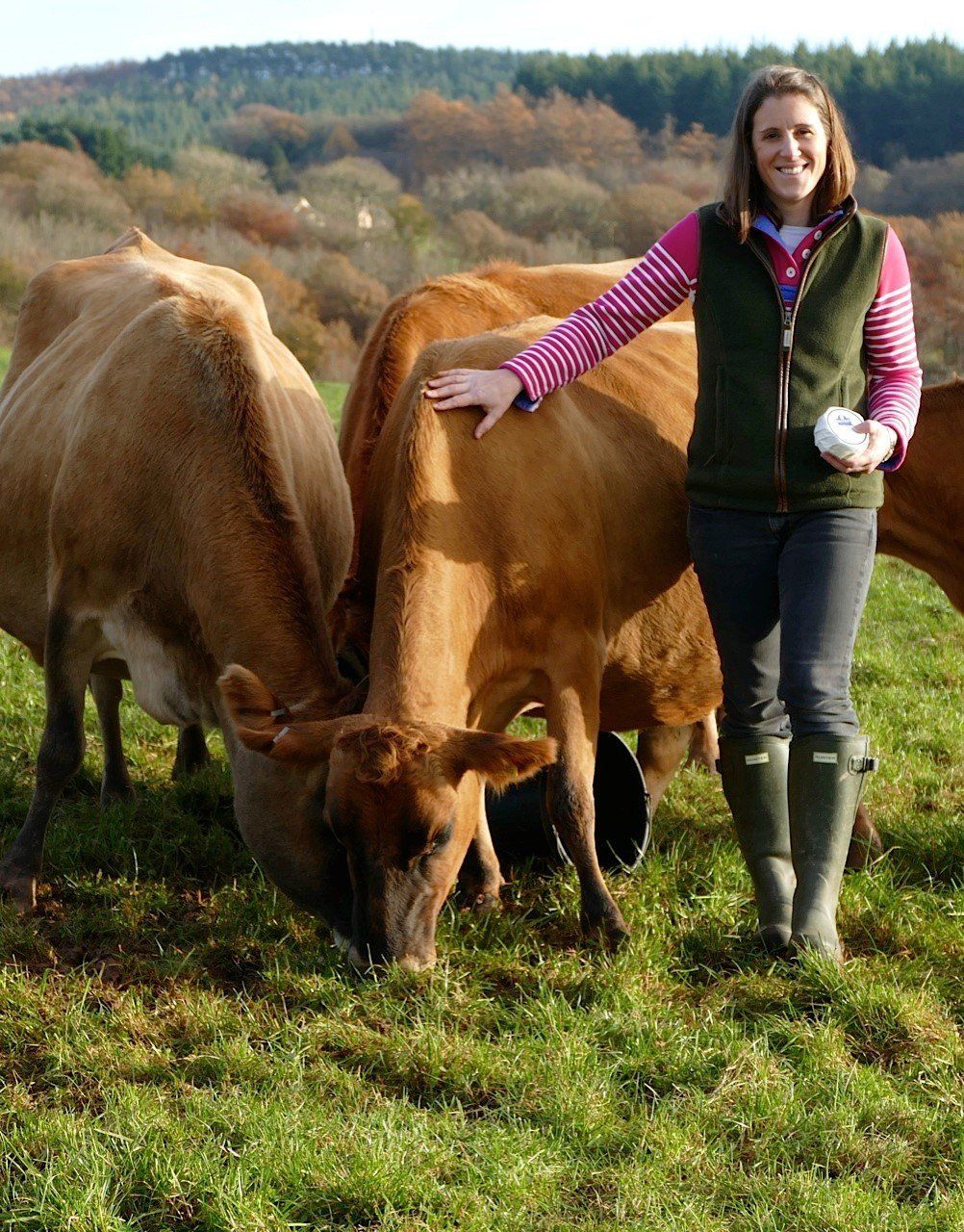 Brooke's Dairy Hannah and Jersey cows