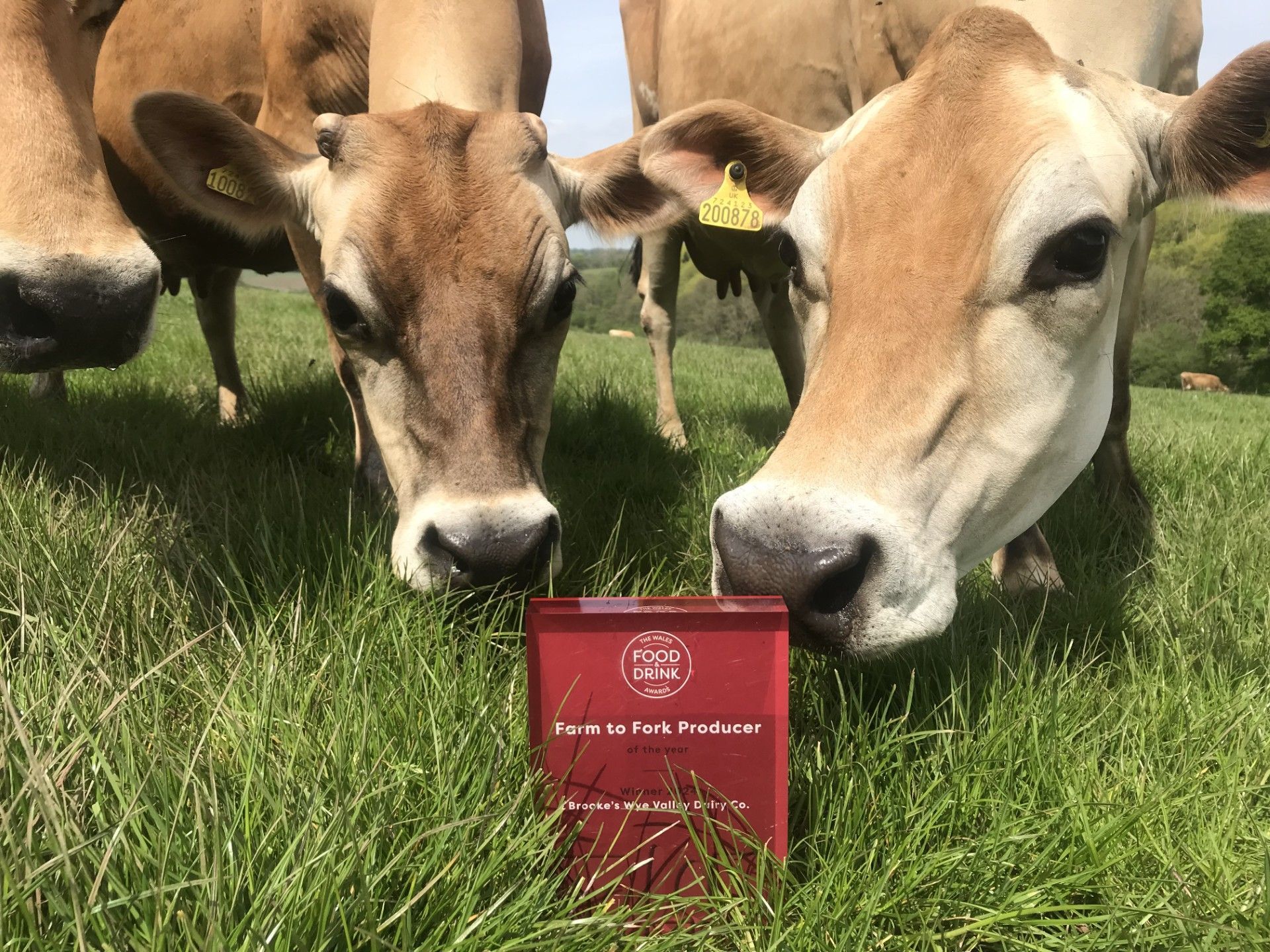 Brooke’s Dairy winners in Welsh Food & drink awards