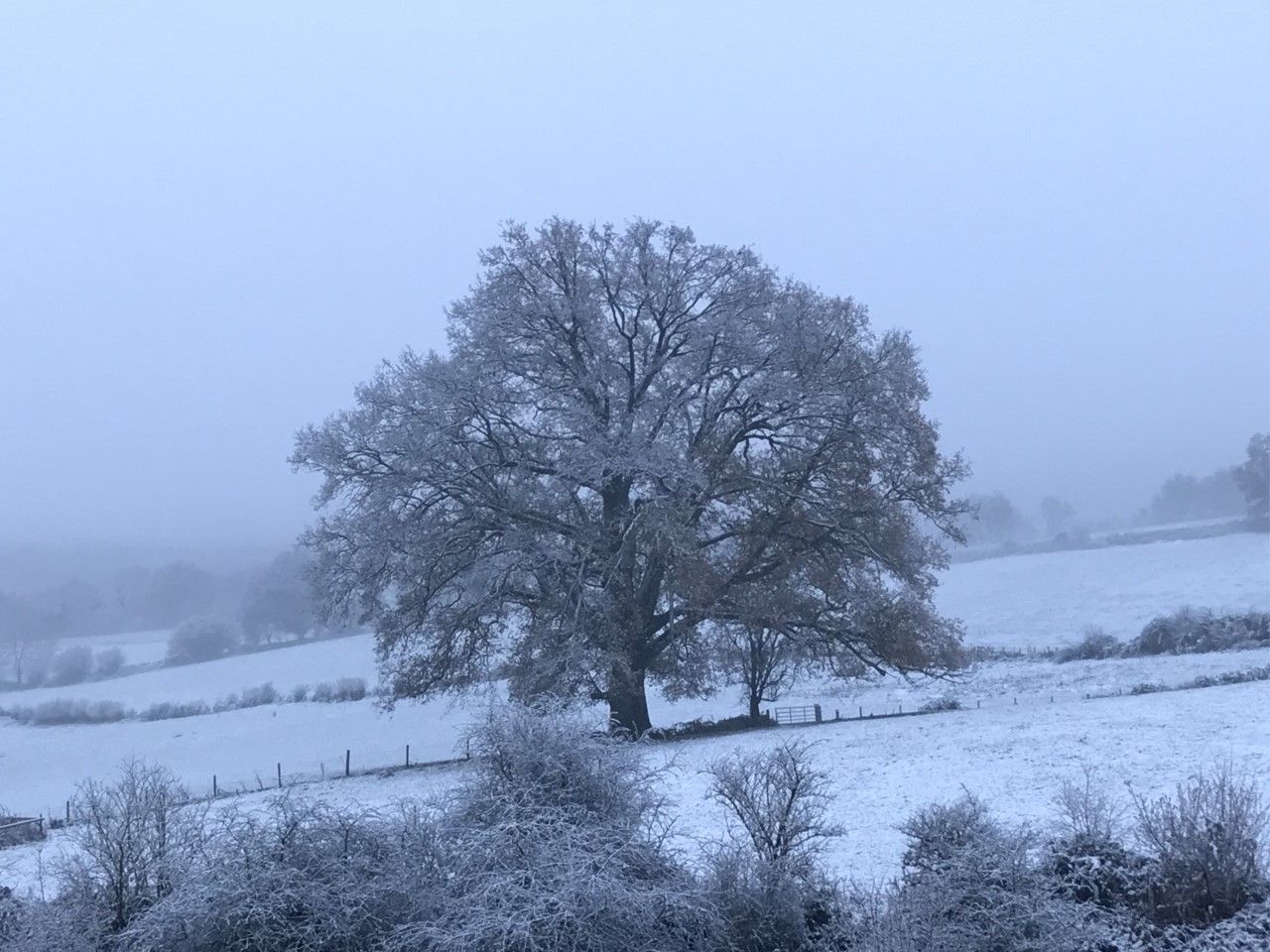 Brooke's Dairy Farm in winter