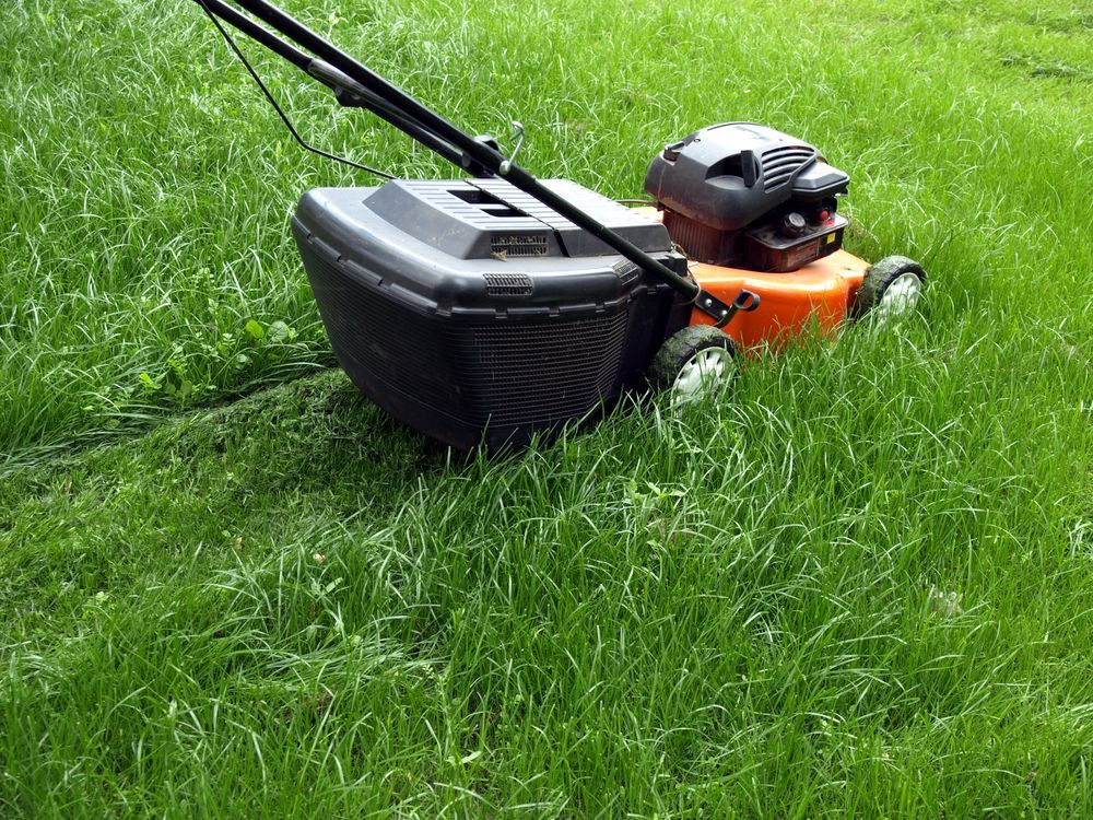 Orange and Black Lawnmower Cutting Green Grass in A Yard — Mullum Property Services in Mullumbimby, NSW