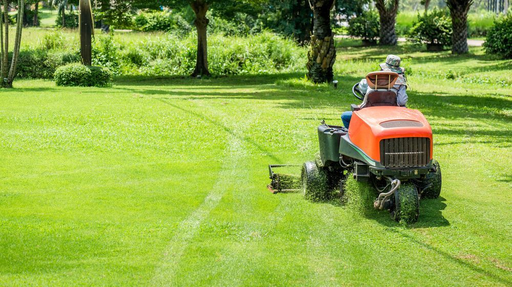 Person on An Orange Riding Lawnmower Cutting Grass in A Lush, Green Lawn — Mullum Property Services in Ballina, NSW