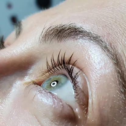 Close-up of an eye with a lash lift, dark lashes and light green iris. Eyebrows are full and groomed.