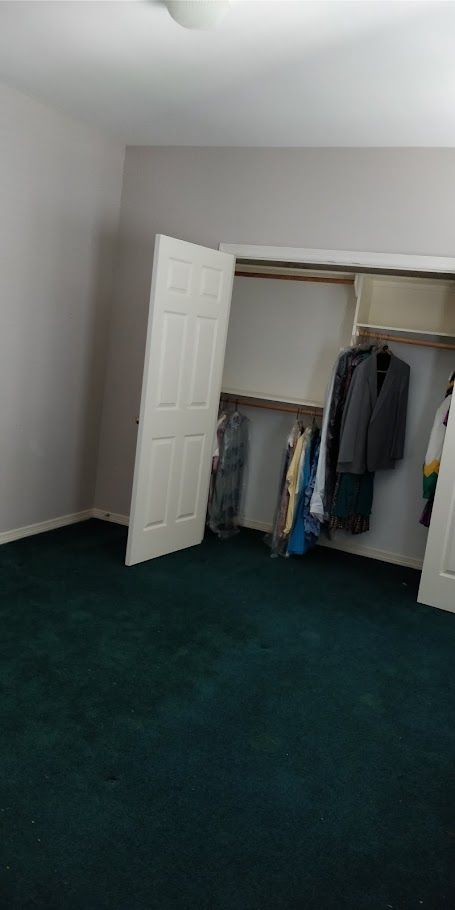 A bedroom with a closet filled with clothes and a green carpet.