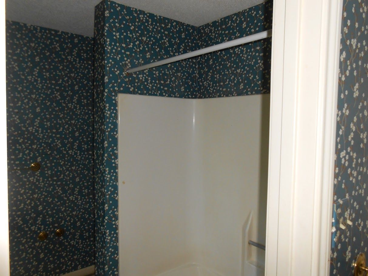 A bathroom with a shower and a blue wall