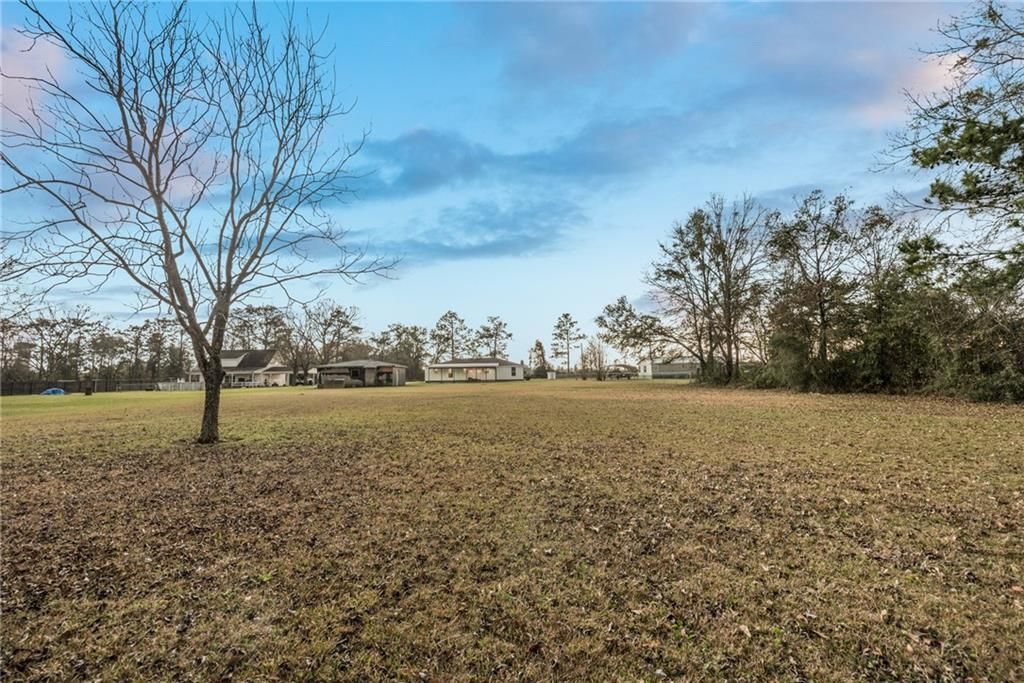 There is a tree in the middle of a field.