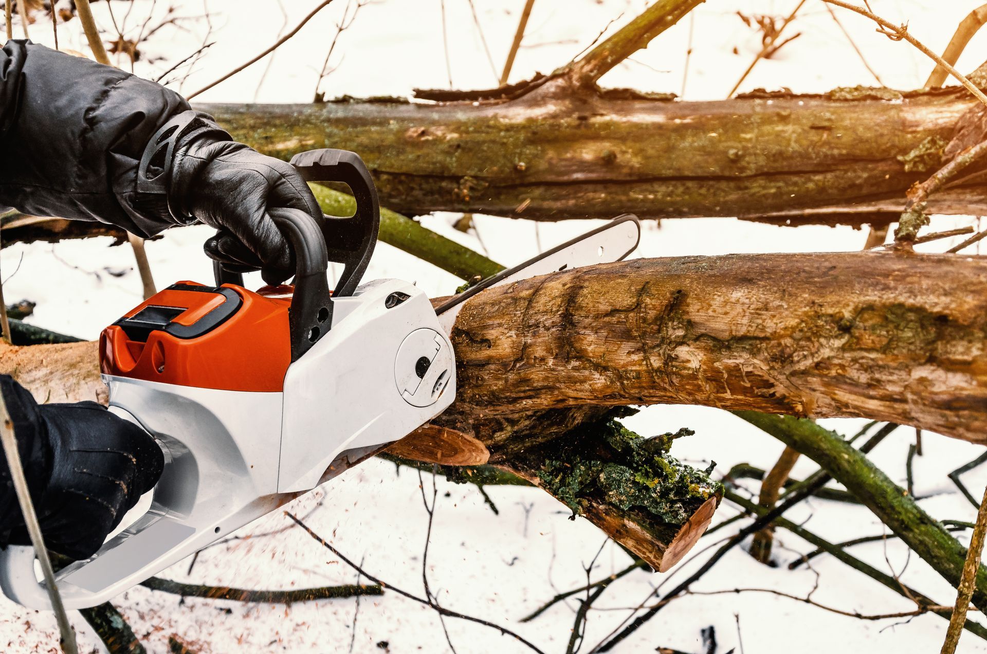 Person wearing black gloves uses a chainsaw to cut a tree branch in a snowy outdoor setting.