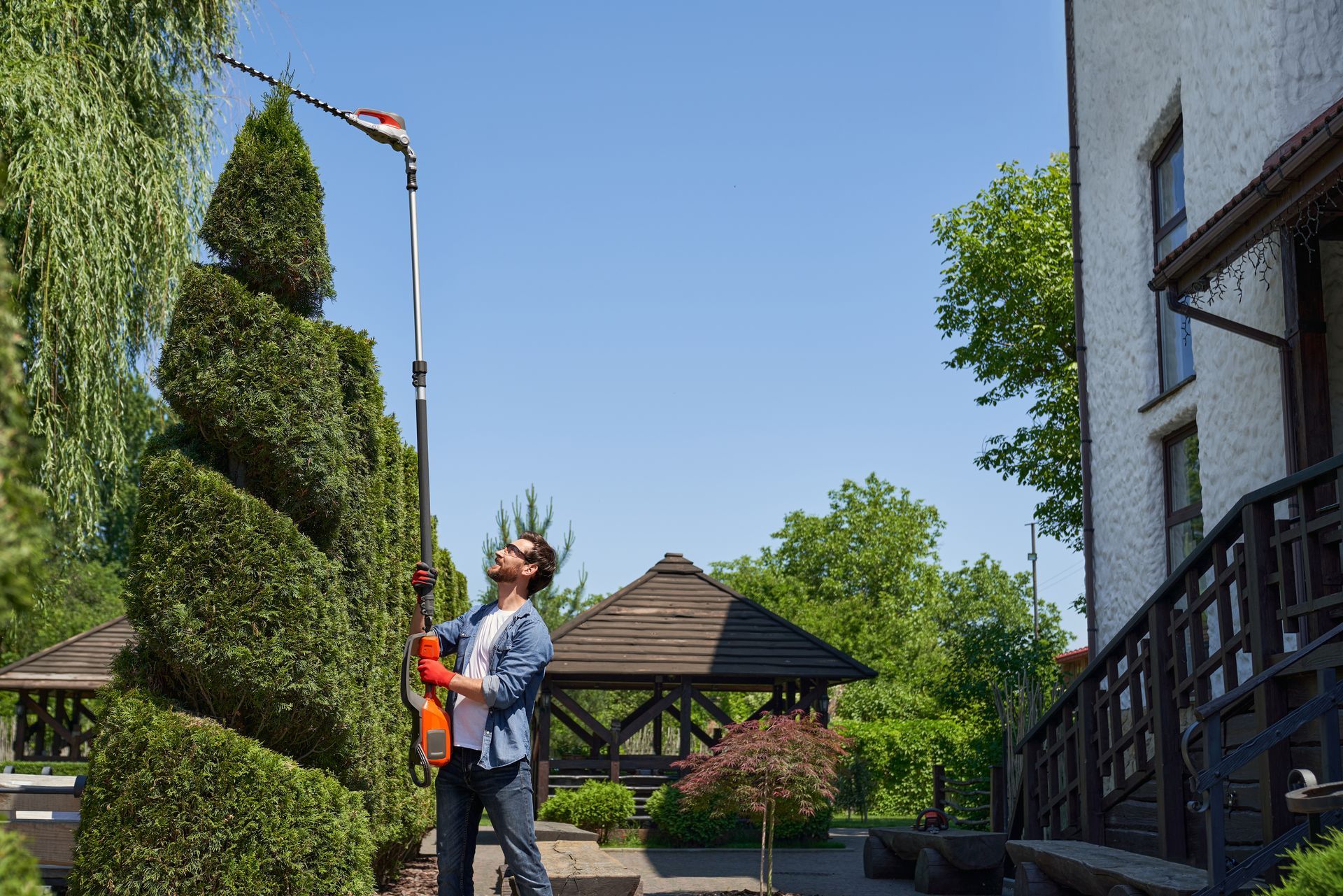 Man using pole saw to trim a tall, spiral-shaped hedge in front of a house on a sunny day.