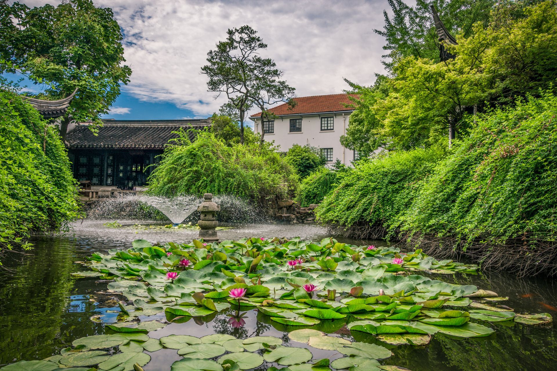 pond and fountain in a garden