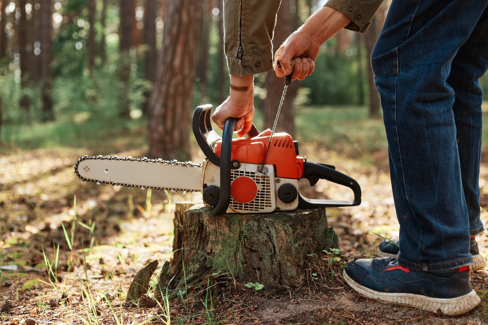 chainsaw on a tree stump