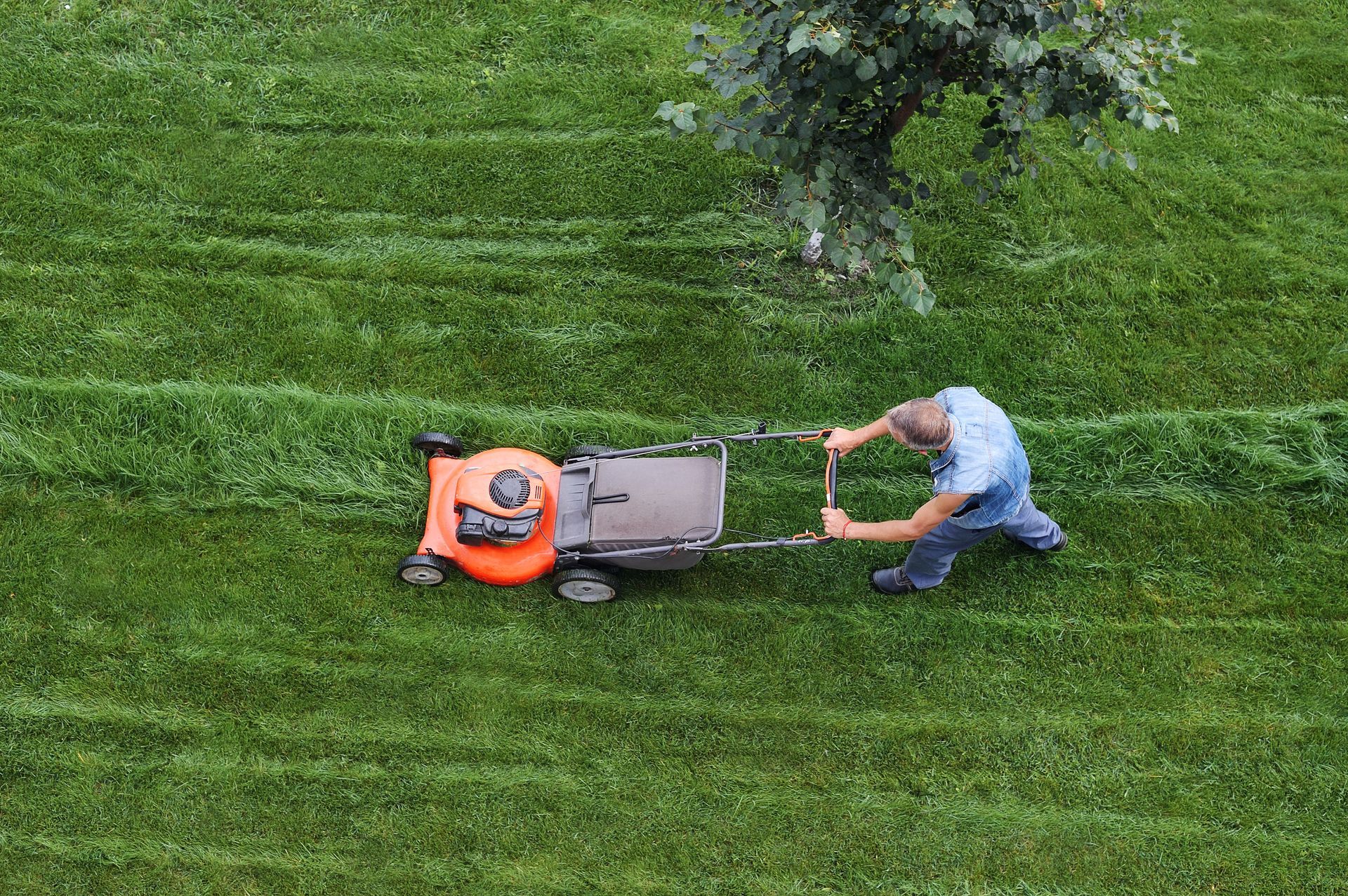 man cutting grass with a lawn mower