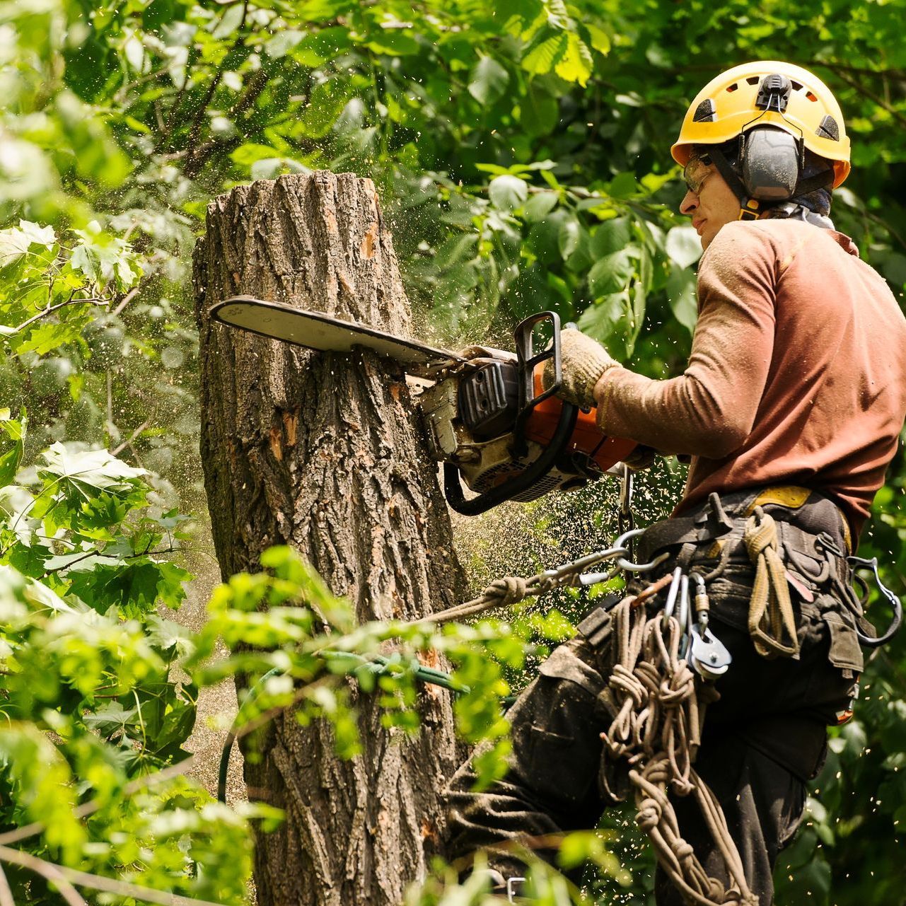 a man wearing a helmet is using a chainsaw to cut a tree