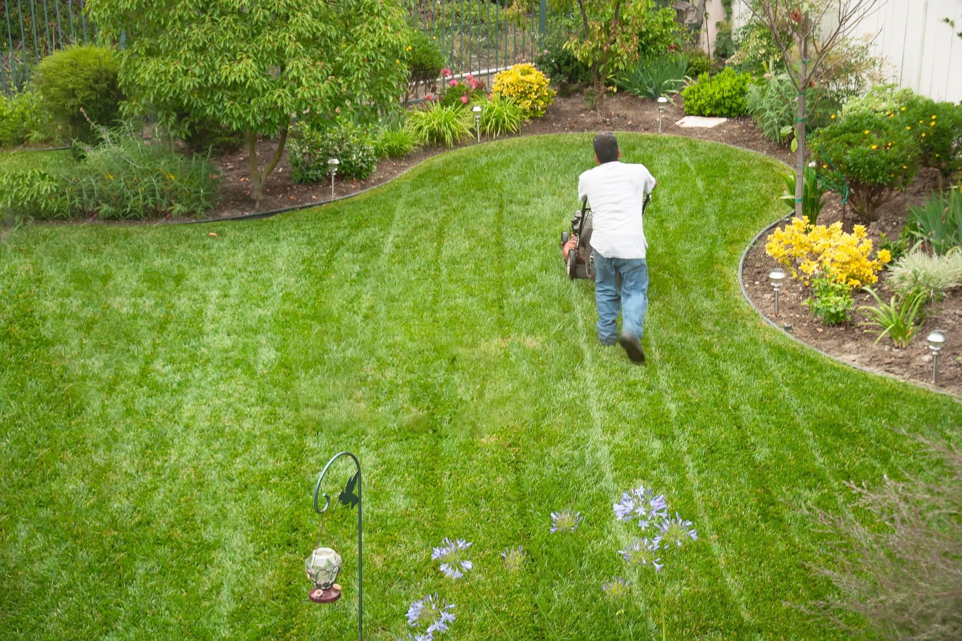 A man is mowing a lush green lawn with a lawn mower.