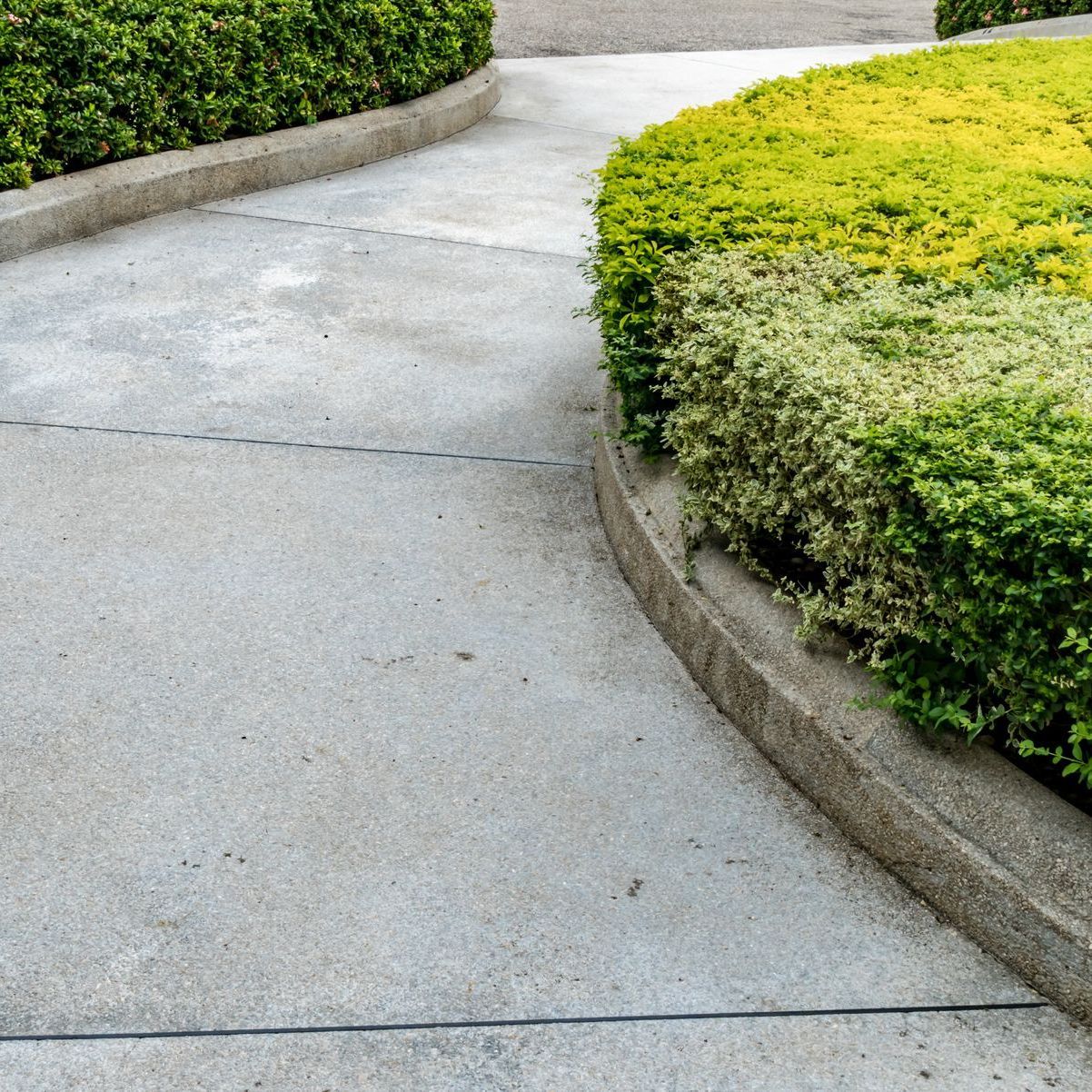 a concrete walkway surrounded by bushes and shrubs