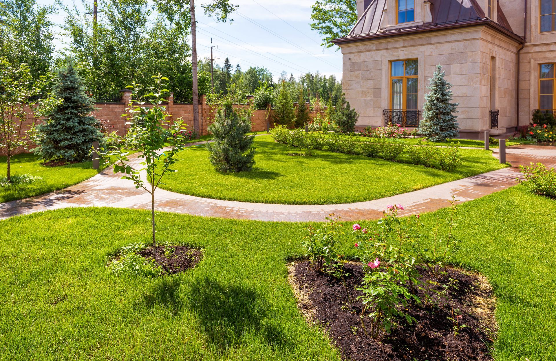 walkway surrounded by plants