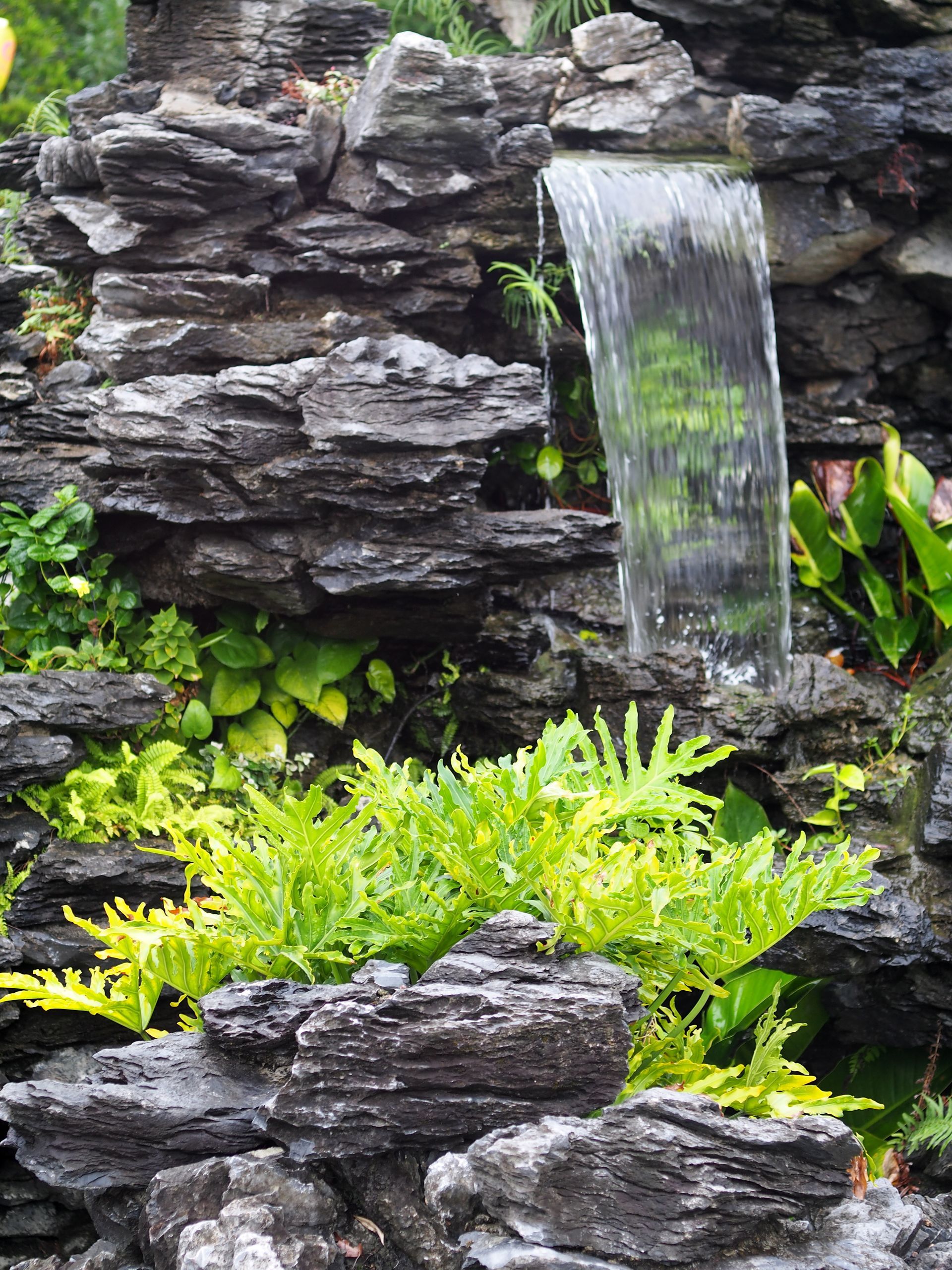 a small waterfall is surrounded by rocks and plants