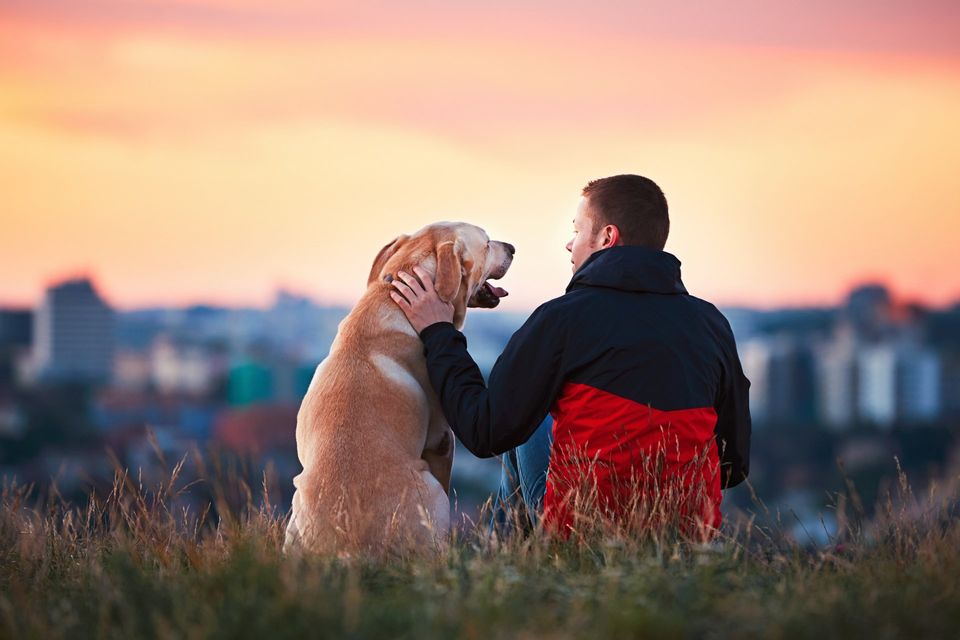 Dog and Owner Watching the Sunset — Goldsboro, NC — Eli's Friends