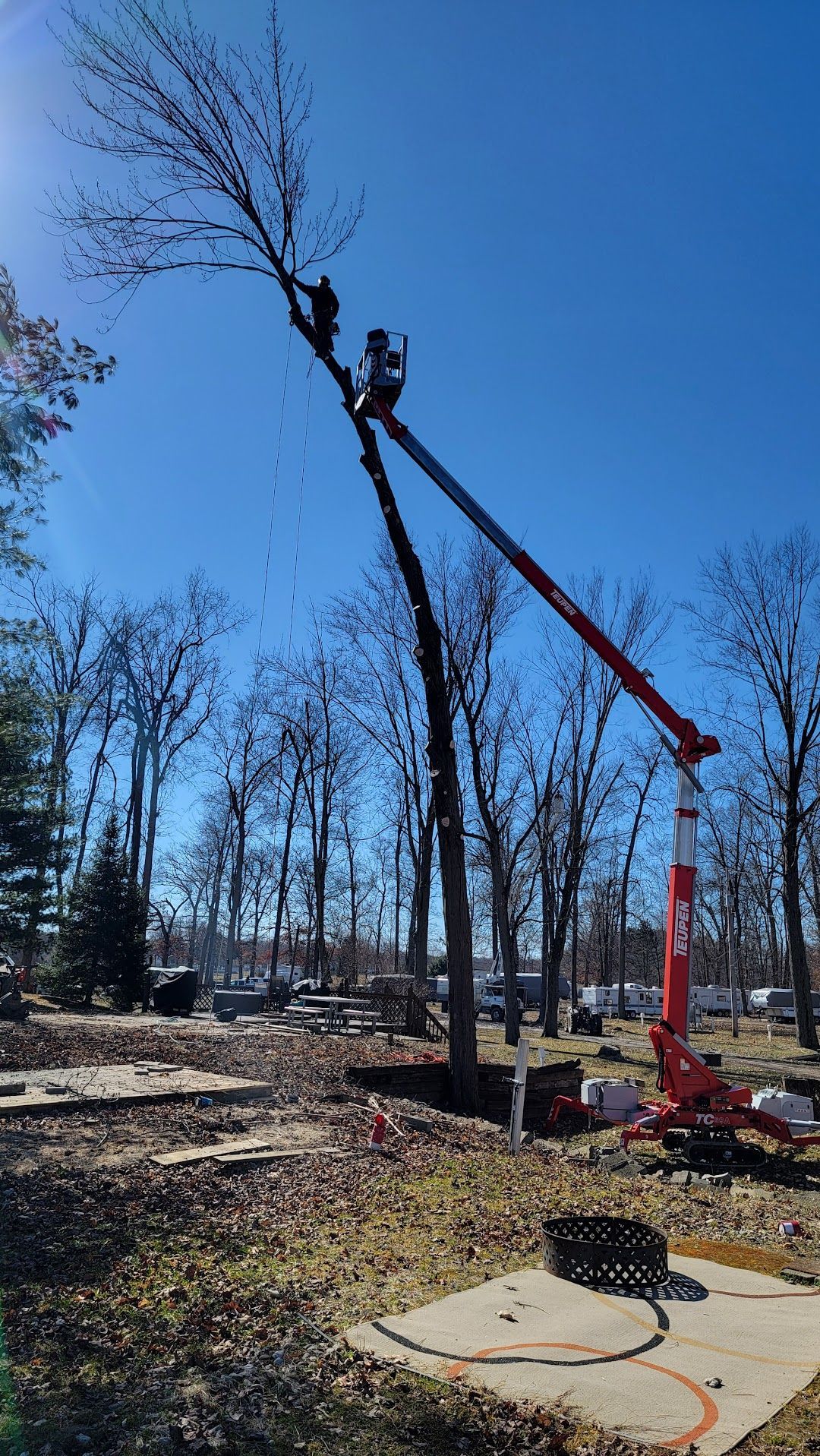 A man is cutting a tree with a crane in a park.