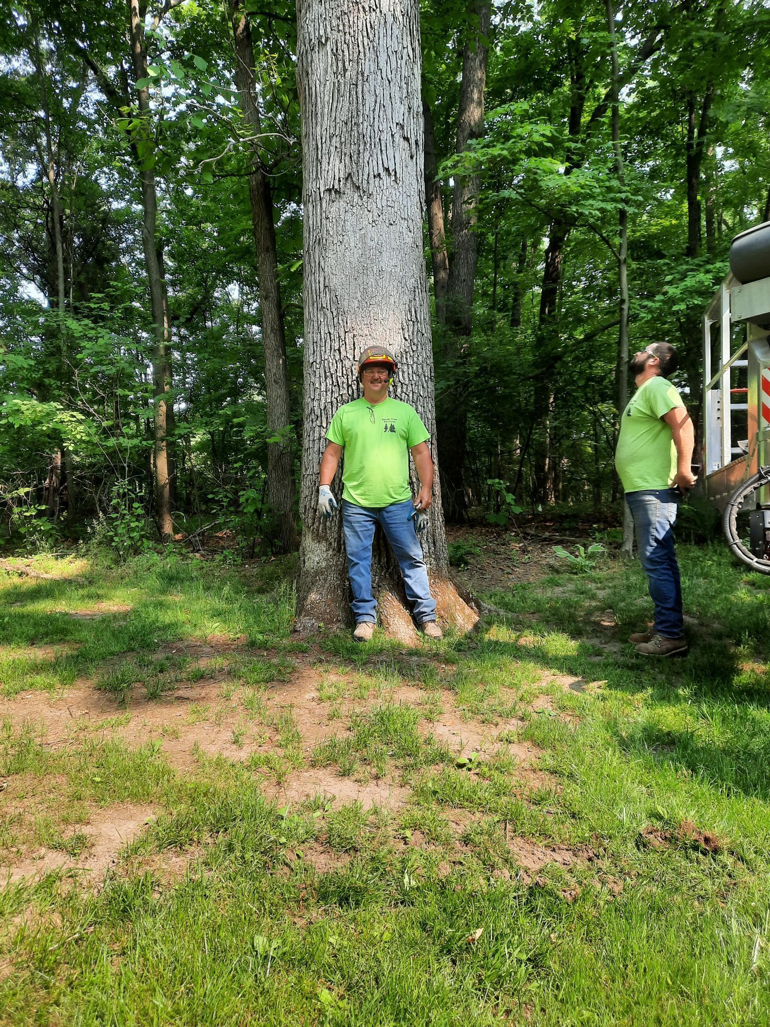 A man in a green shirt is standing next to a large tree.