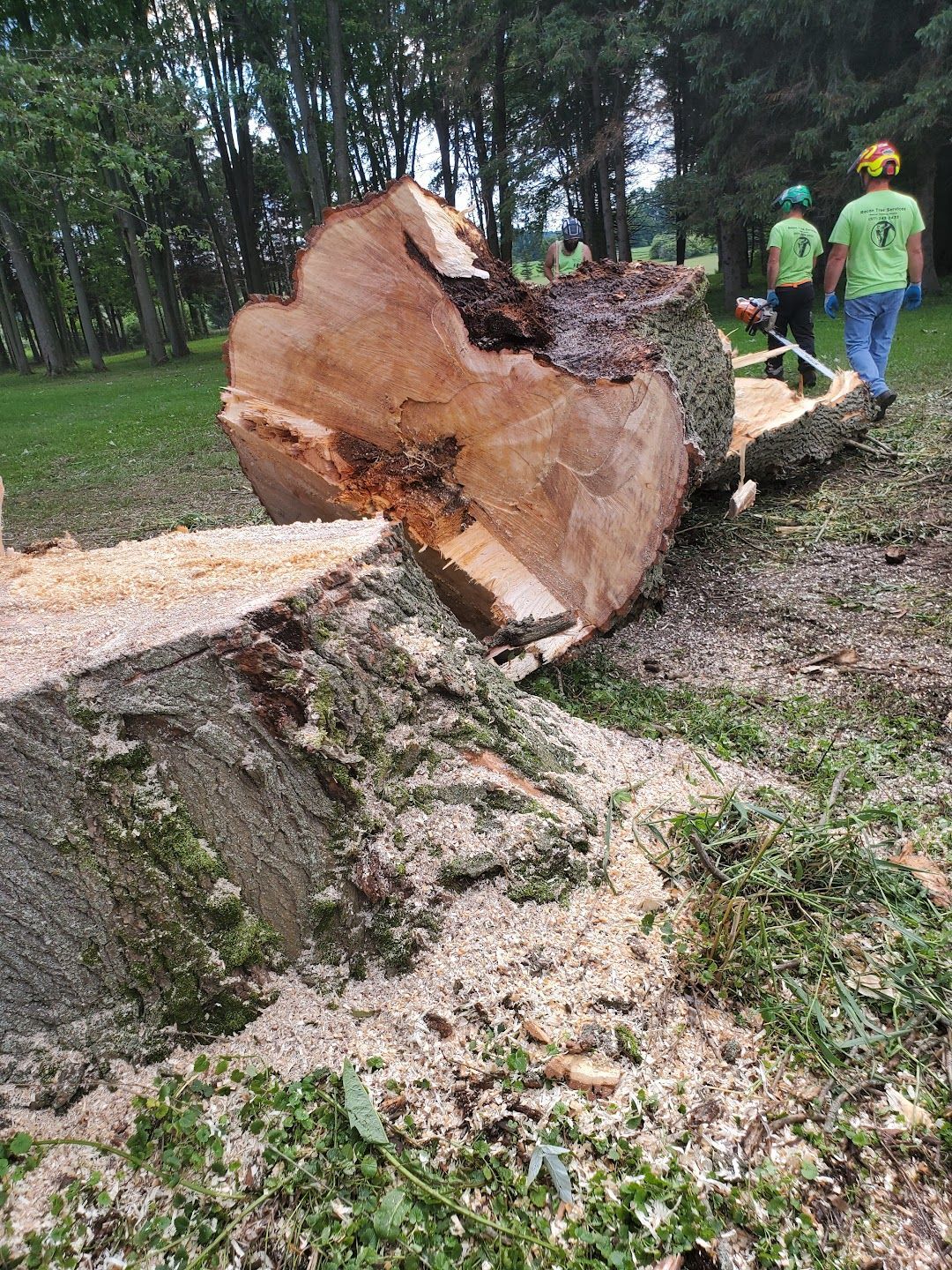 A large tree stump is laying on the ground in a park.