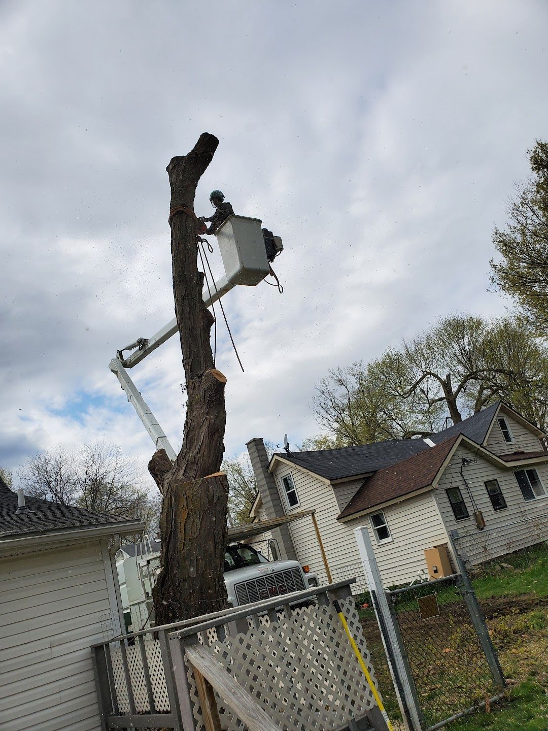 A man in a bucket is cutting a tree in front of a house.