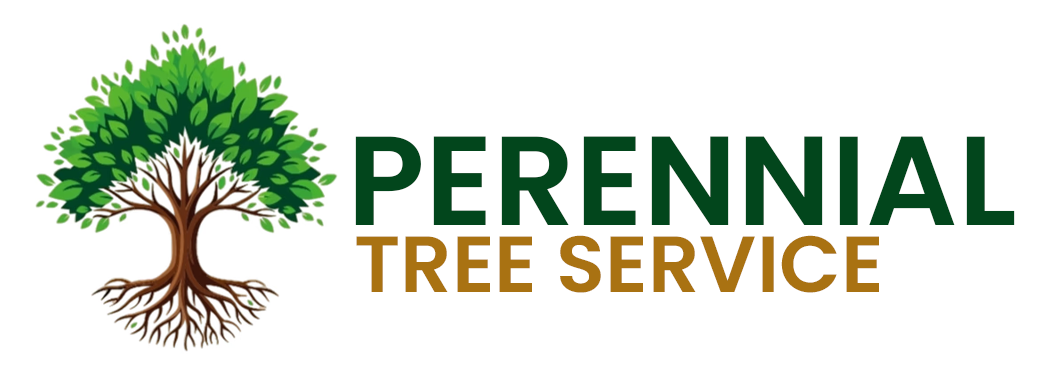 Logo for Perennial Tree Service: tree with green leaves, brown trunk and roots, and text.