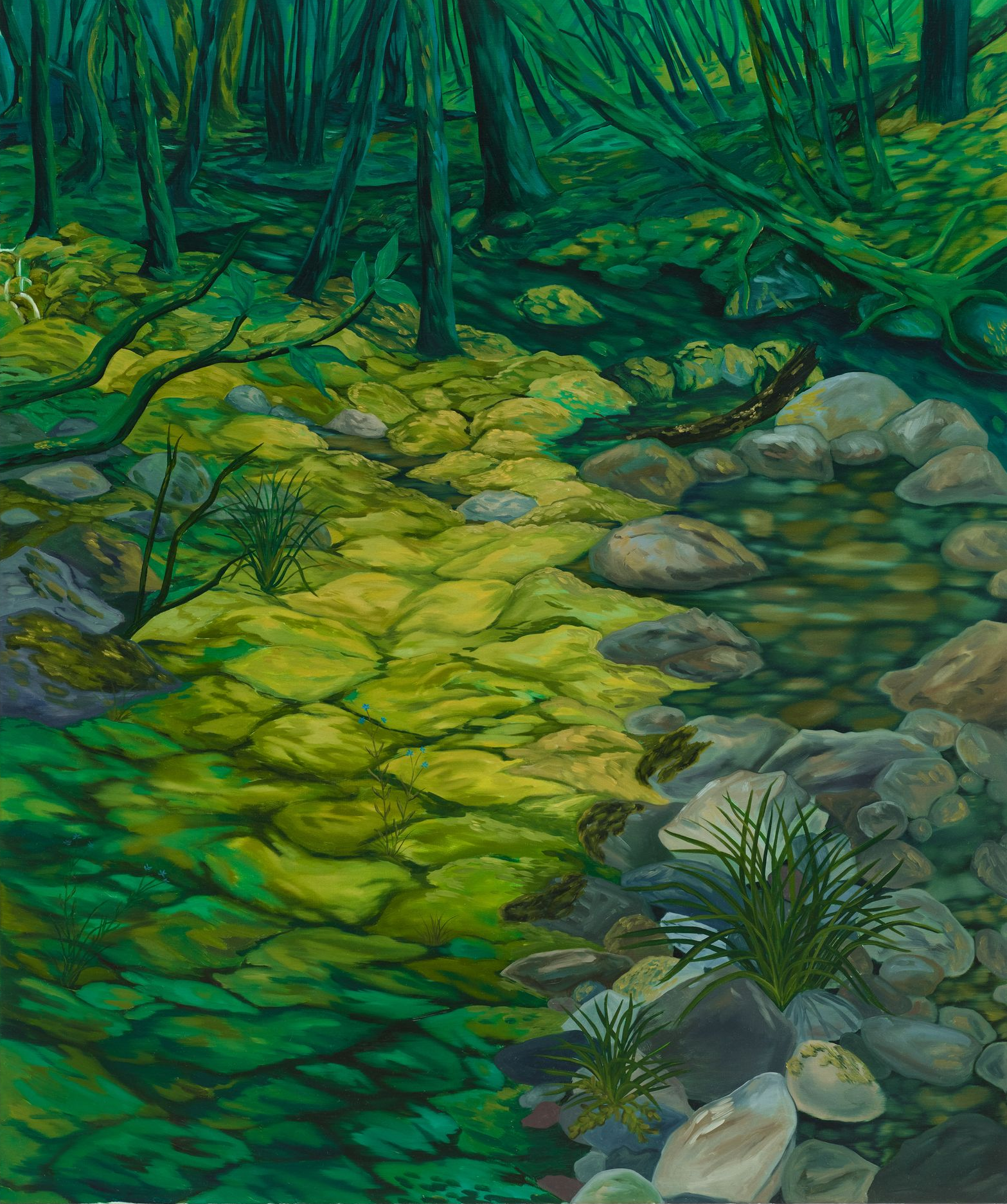 A green forest scene. Sunlight dappled on rocks in a stream. Trees line the background.