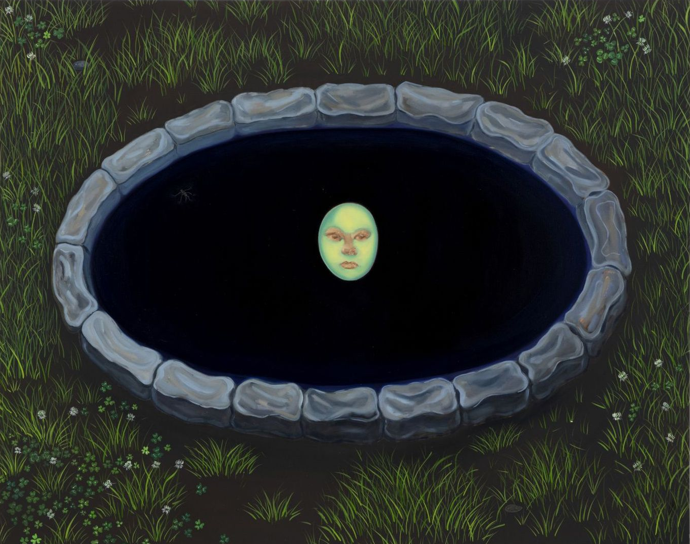 A dark, oval-shaped well with stone rim. A glowing face appears in the water, surrounded by green grass.