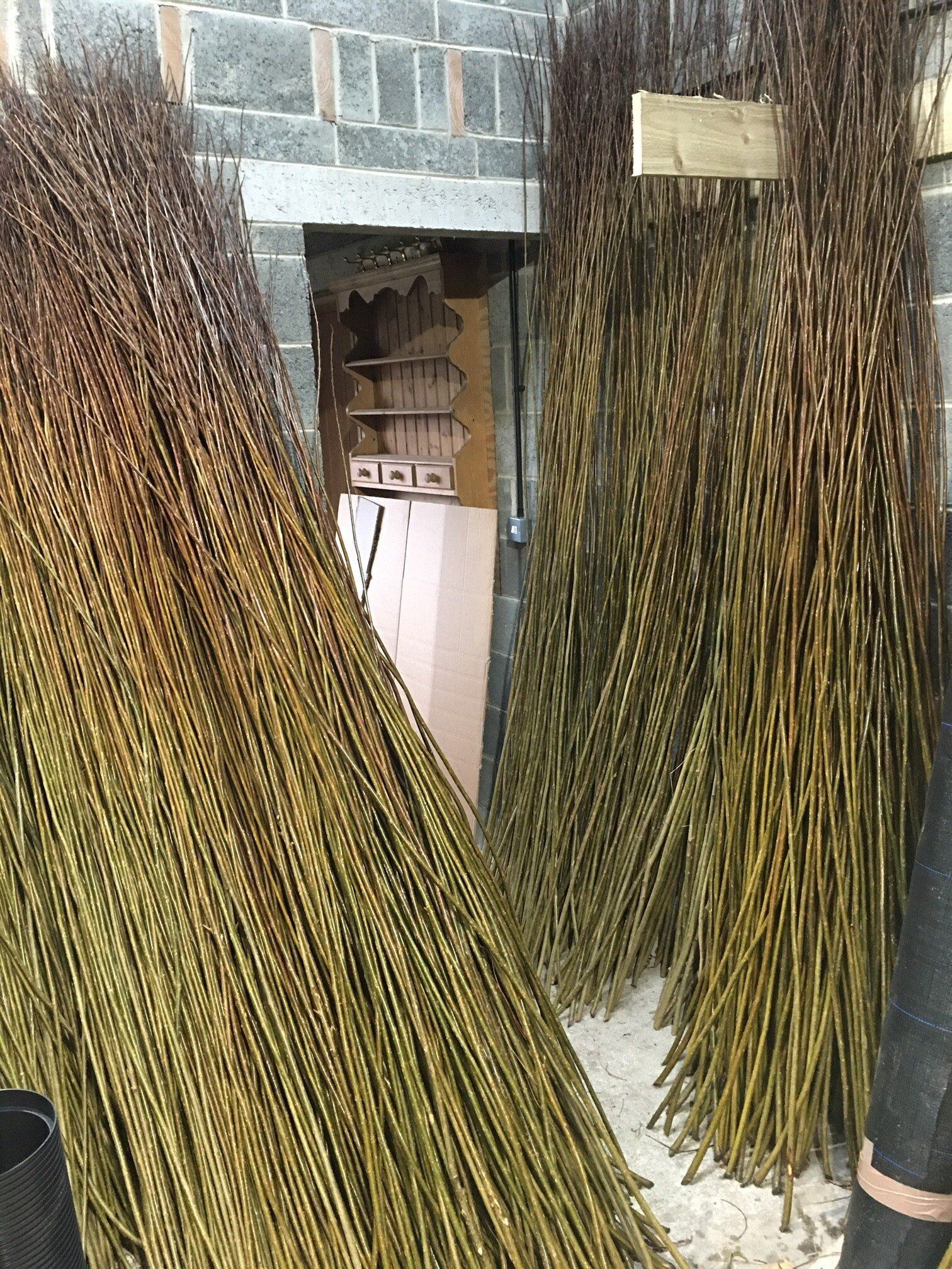 Willow Rods, Whips, Sticks, Withies