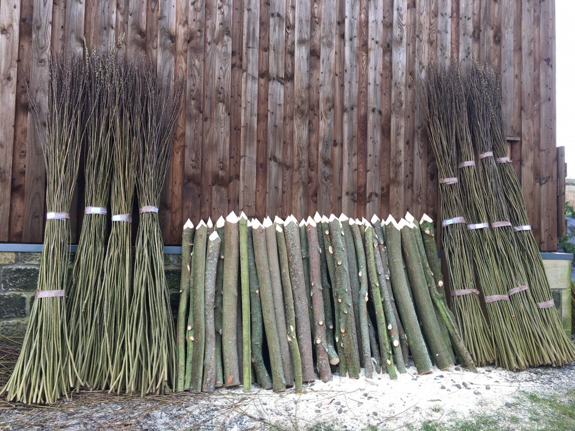 Willow Spiling