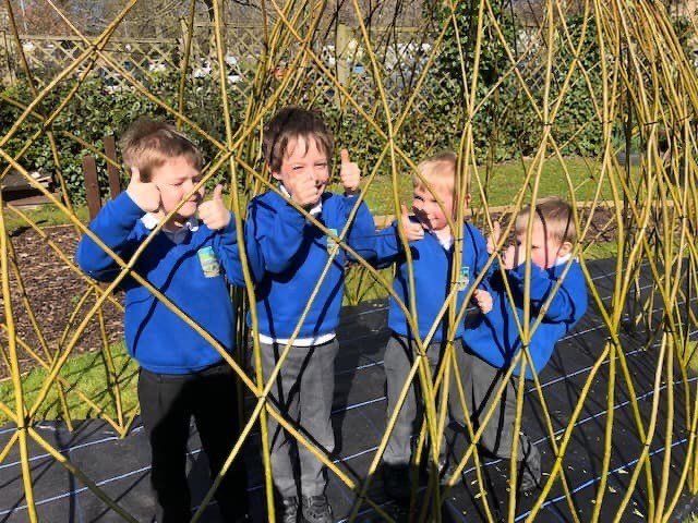 Willow for Schools