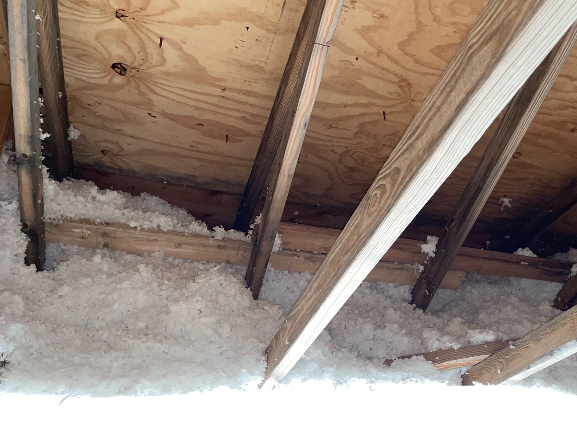 Blown-in insulation