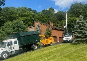 A dump truck and a tree chipper are parked in front of a house.