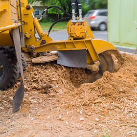 A yellow tractor is cutting a tree stump in the ground.